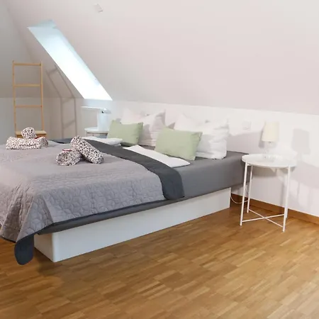 Bohnapartments Altstadt-loft - Wasserbett - Parkplatz - Wlan - Zentrum